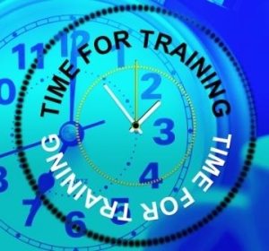 Logo: Time for Training