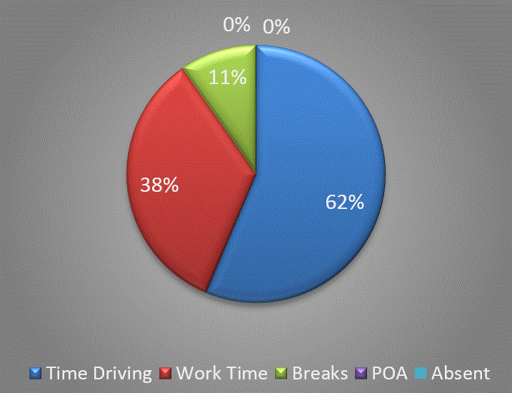 Driver Perfomance pie chart